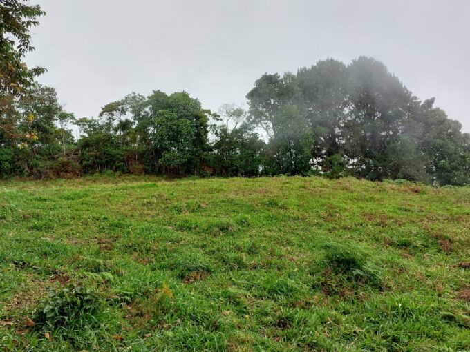 lote en sopetran guayabal los pomos